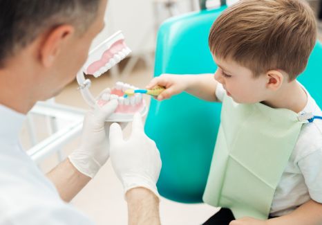 Dentist holding a model of the teeth while a young boy brushes them
